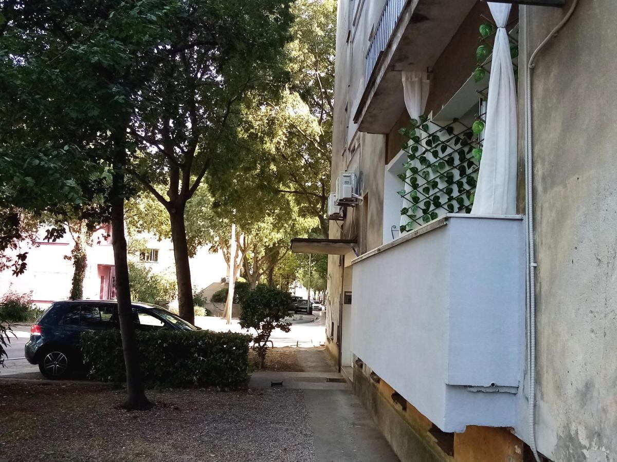 Apartment Puhov Zadar Eksteriør billede